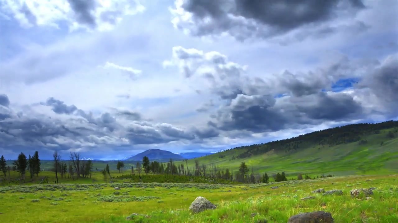 Wide green valley with scattered trees beneath a moody cloudy sky at dusk, soft natural light and earthy tones setting a contemplative mood.